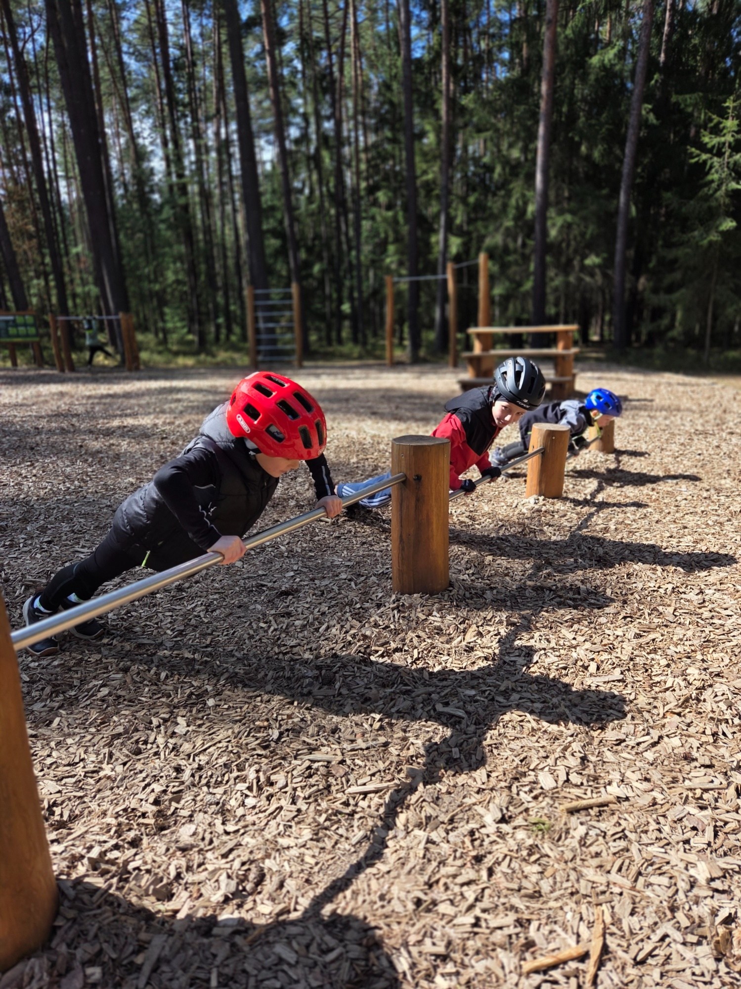 Lesní putování 2026