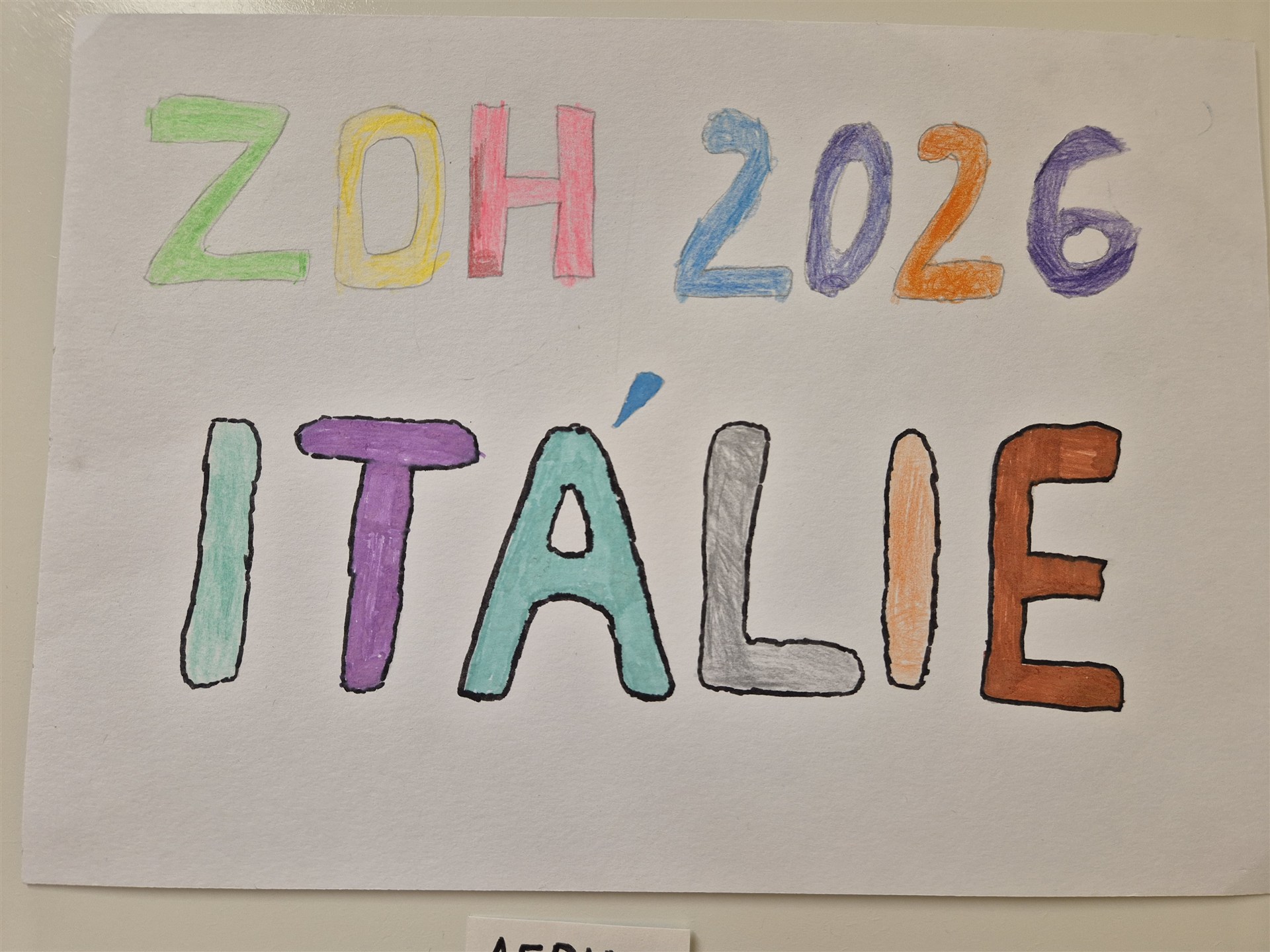 Zimní olympijské hry