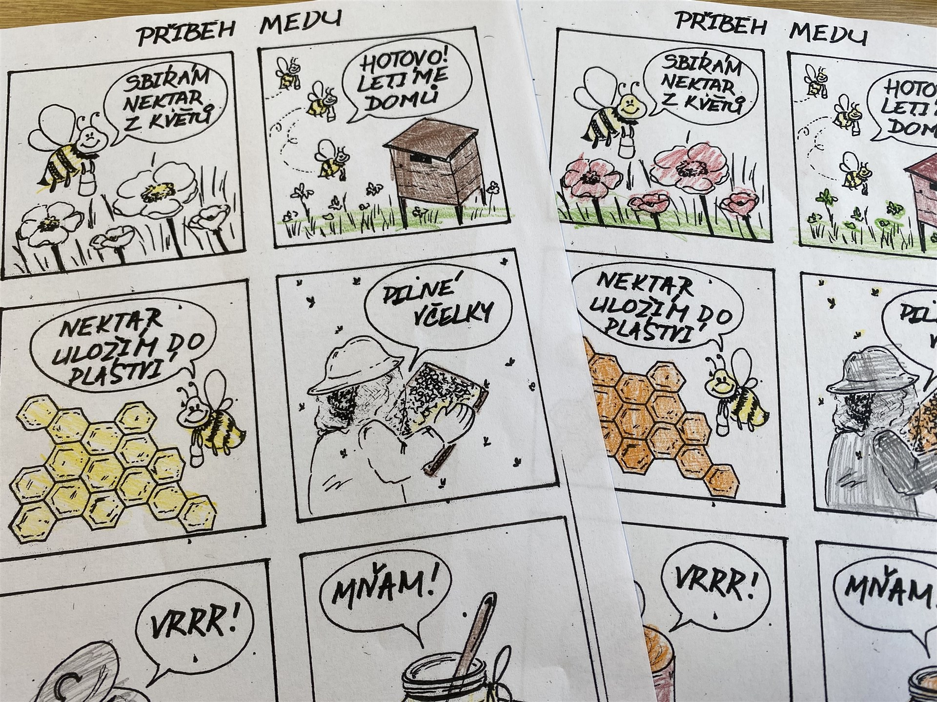 Aktivity se včelkami