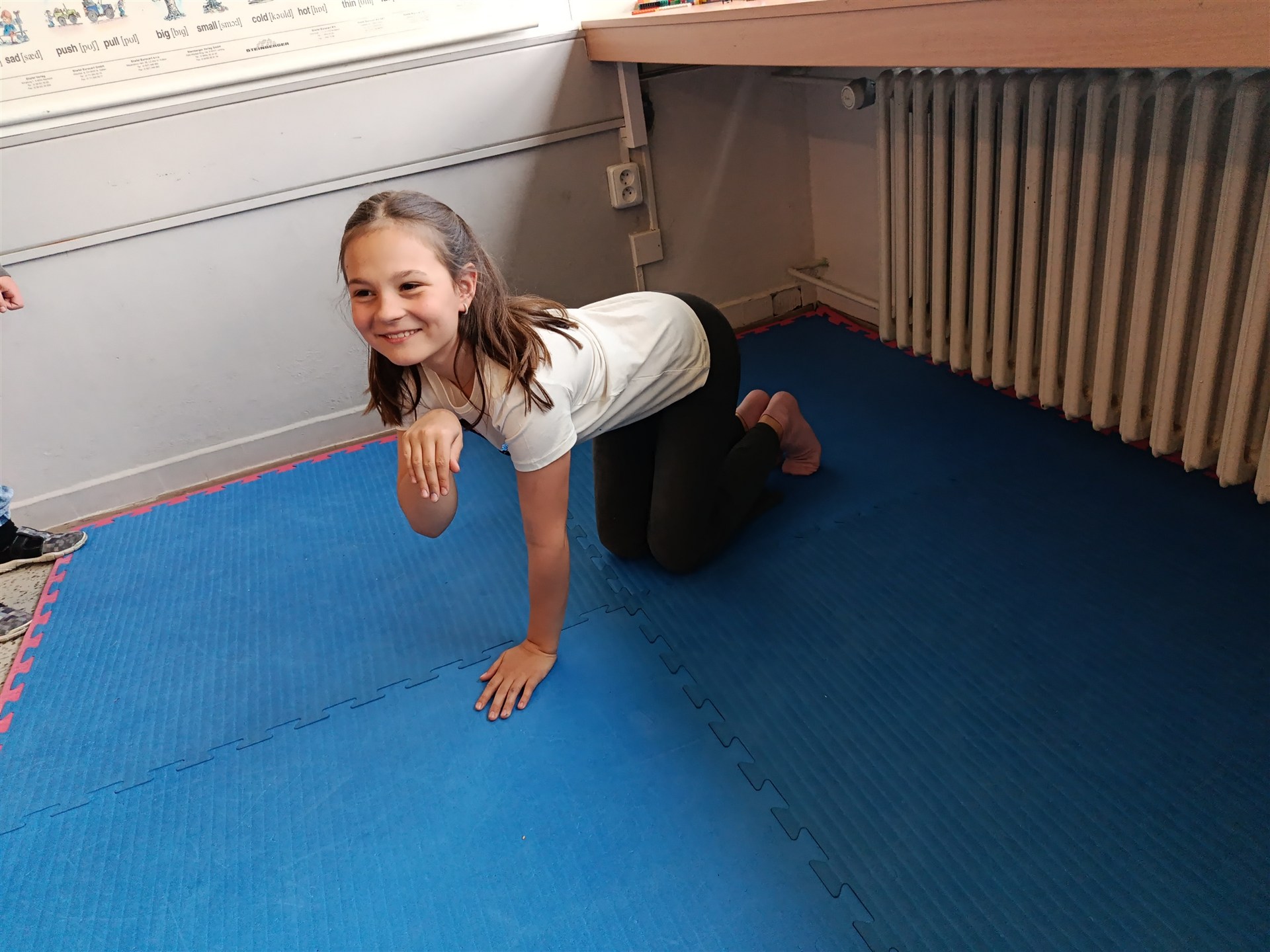 Pantomima aneb hádáme povolání a zvíře