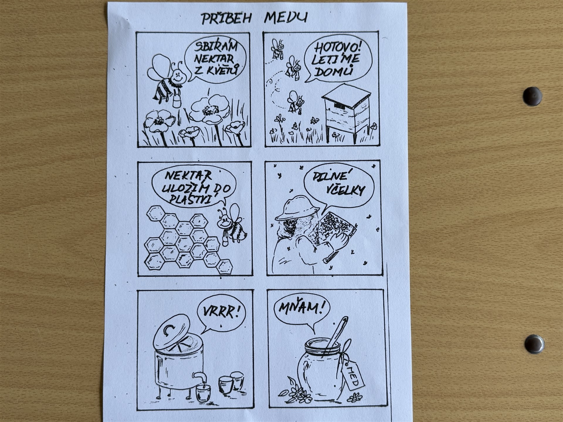 Včelí aktivity 