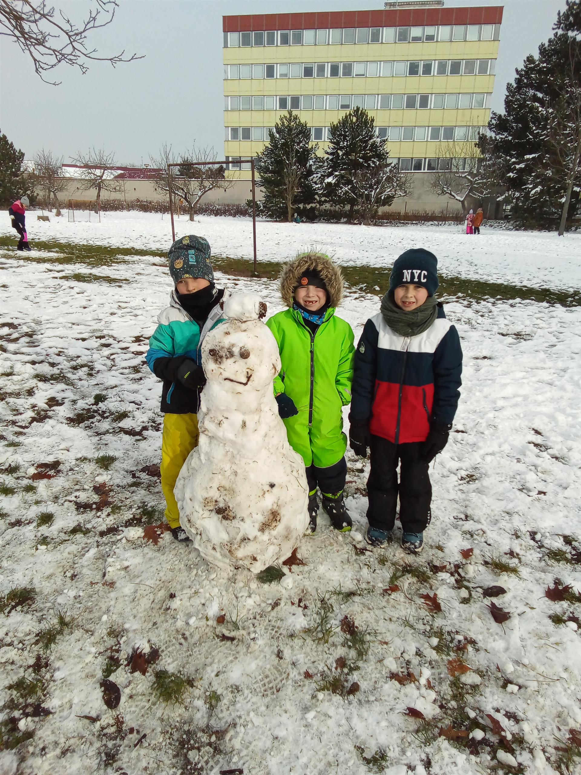 Naši sněhuláci 